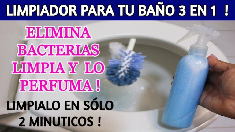Alternativas naturales para la limpieza de cisternas de aseo y baño