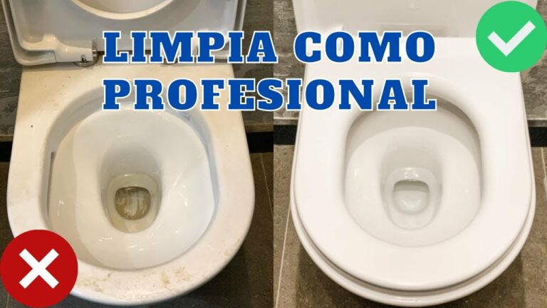 Cual es la frecuencia recomendada para limpiar una cisterna empotrada de baño y aseo