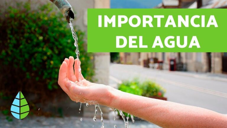 La importancia de elegir una cisterna de calidad para el baño o aseo