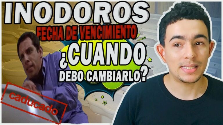 Cuanto tiempo suele durar una tapa para cisternas de aseo y baño