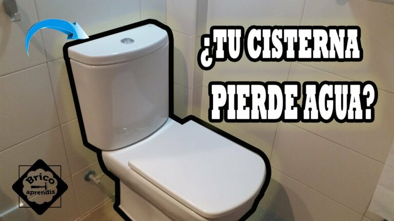 Pasos para sustituir la goma de la cisterna de aseo