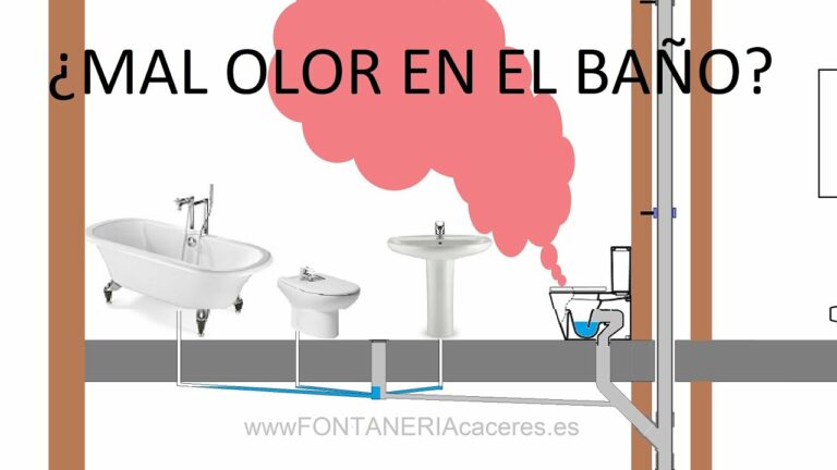 Recomendaciones para evitar malos olores en las cisternas de baño